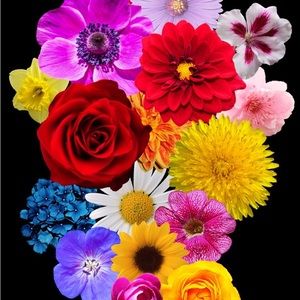 Meet your Posher, Try me